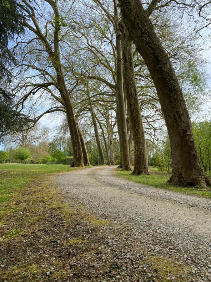 Chateau De La Coudraie Et La Petite Coudraie Change  ภายนอก รูปภาพ